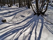 40 Ombre pomeridiane sulla bianca neve